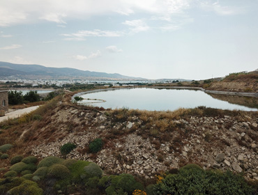 Εγκατάσταση Επεξεργασίας Λυμάτων με τη Μέθοδο των Τεχνητών Υγρότοπων - Αντίπαρος, Κυκλάδες
